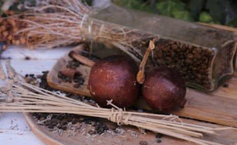 Quietum Plus Ingredients