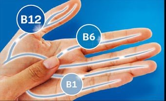 Quietum Plus Ingredients